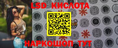 шишки Лесосибирск