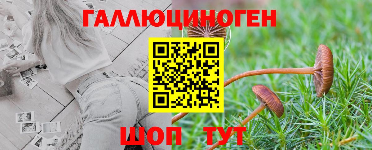 Псилоцибиновые грибы мицелий  Вход с VPN  Дубна 